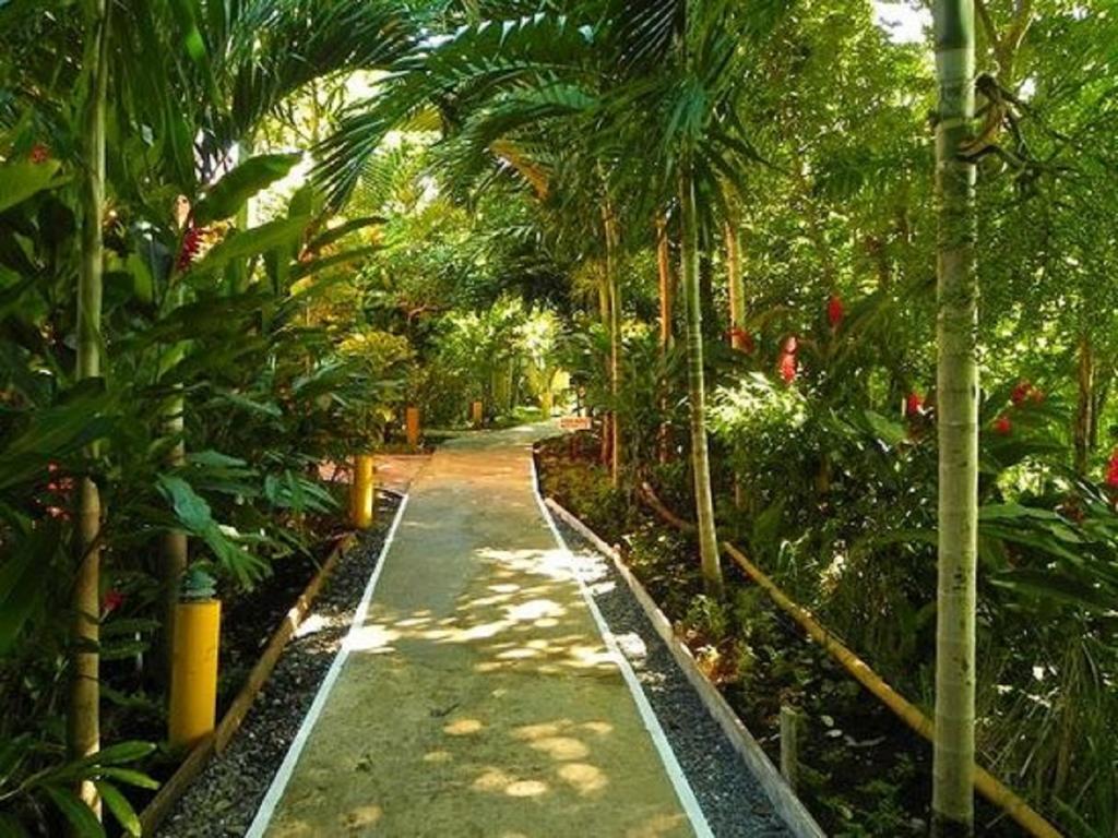 Bay View Eco Resort & Spa Порт-Антонио Экстерьер фото