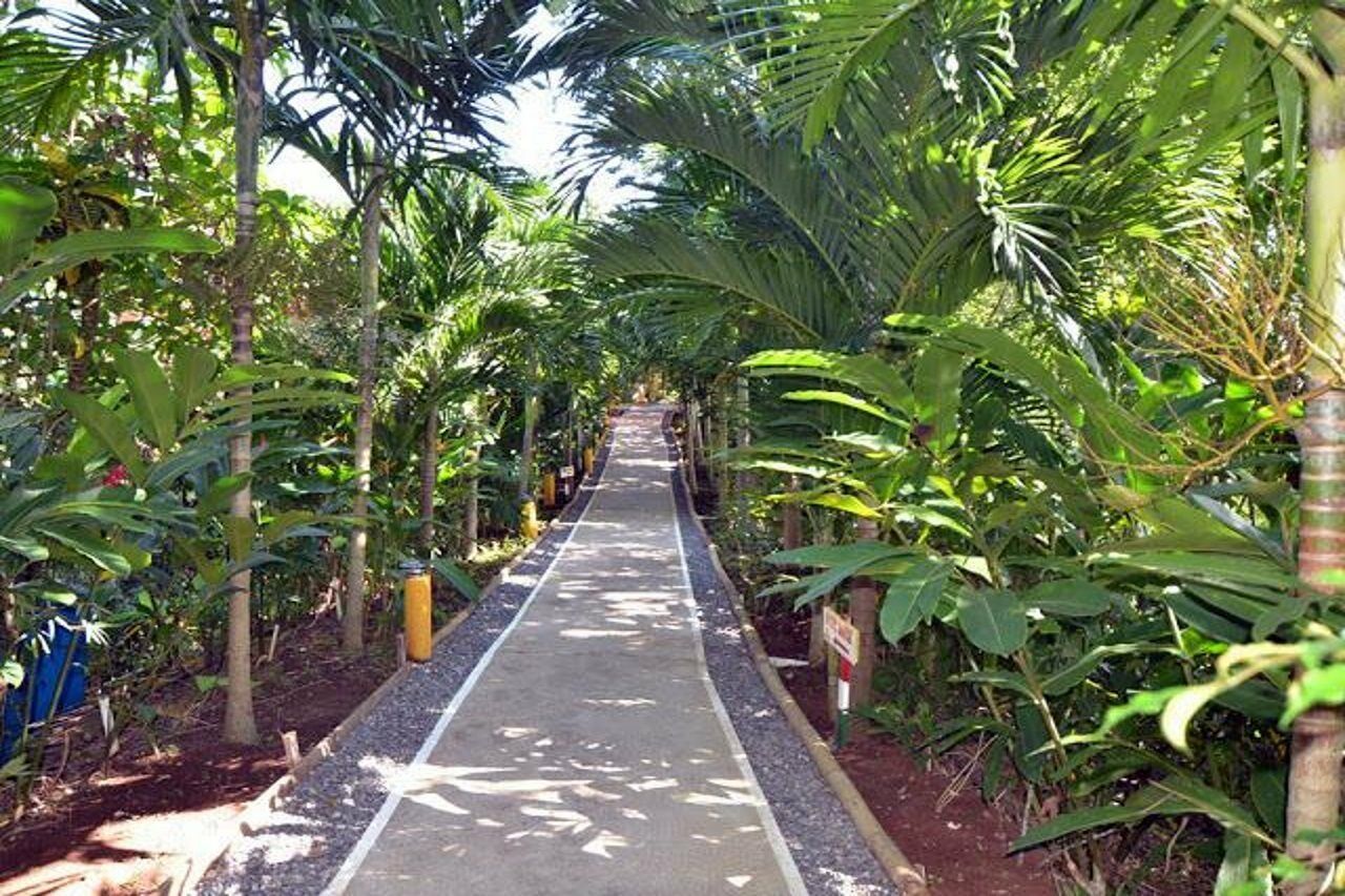 Bay View Eco Resort & Spa Порт-Антонио Экстерьер фото